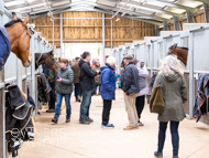 BP210325-66 - Ben Pauling Stable Visit